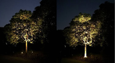 LED抱樹燈VS投光燈 在園林亮化中哪個應(yīng)用效果好?