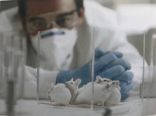 凈化車間裝修醫院凈化工程資質怎么申請?